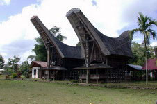 Villaggio Toraja (II)